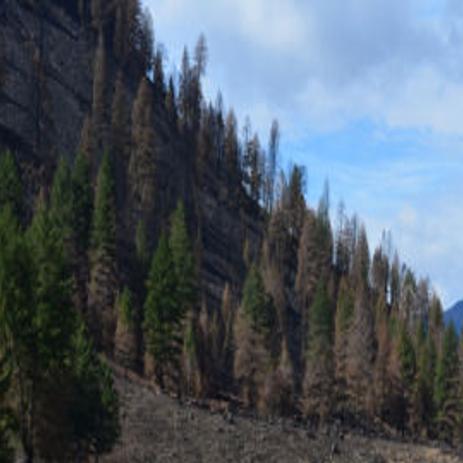 Fire Mudslide Transform South Fork Of Boise River Local Magicvalley Com