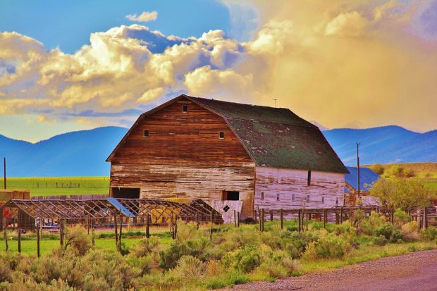 Gallery: Barns of Southern Idaho