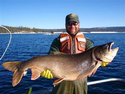Yellowstone Lake: Stalking lake trout