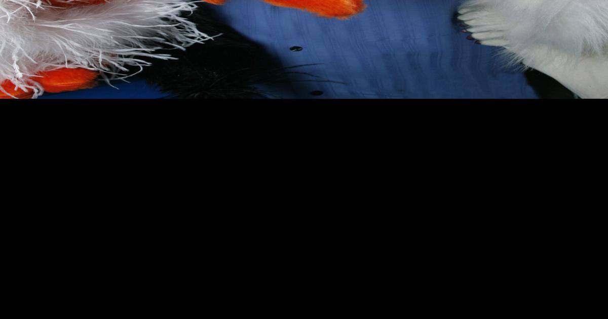 Ventriloquist Kevin Johnson to Perform in Burley