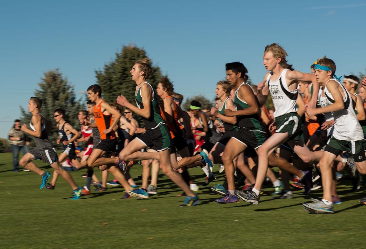 4A District IV Boys Cross-Country