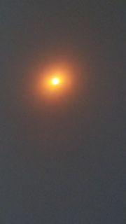 First glimpse