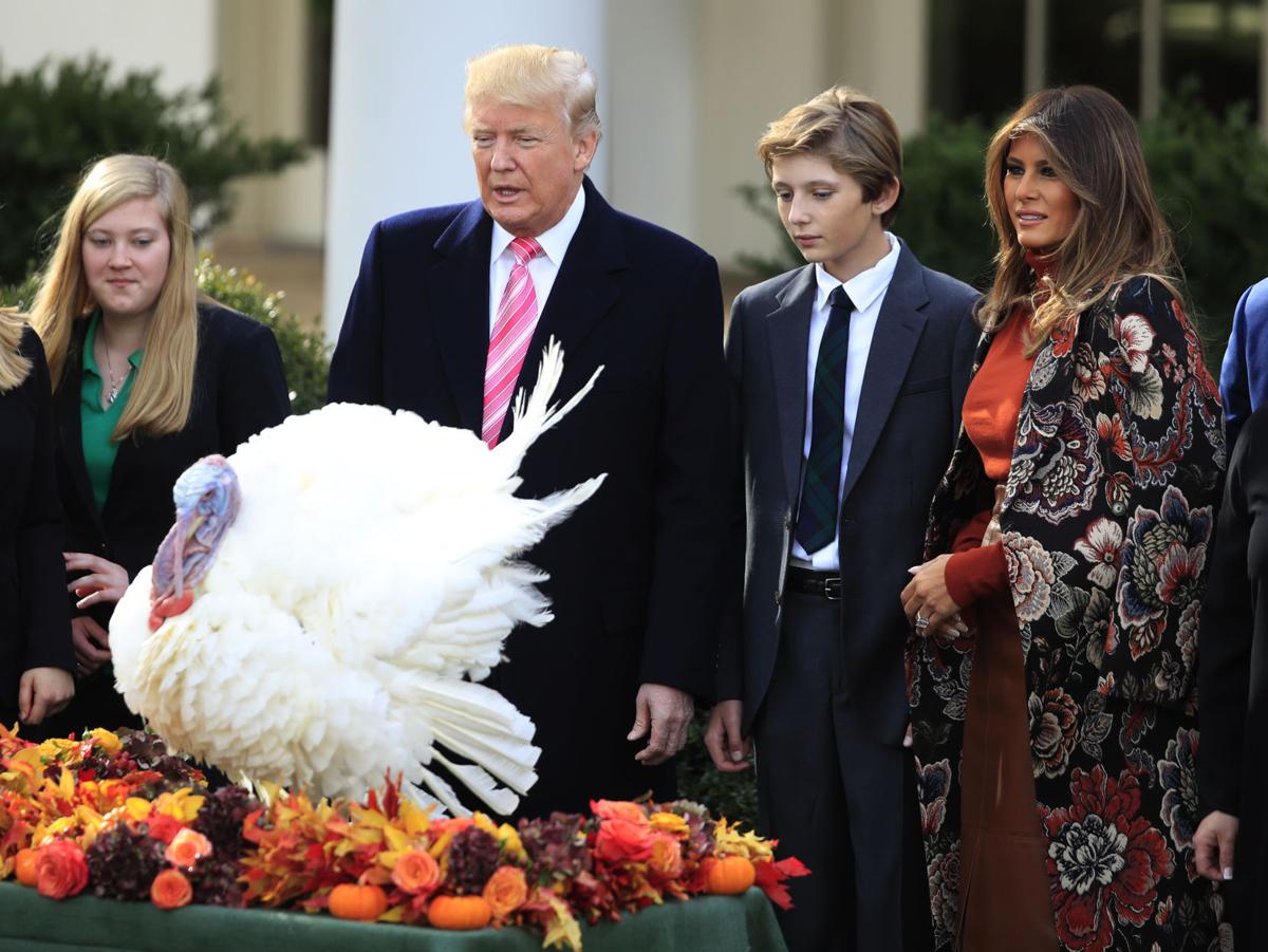No bones about it Trump continues turkeypardon tradition News