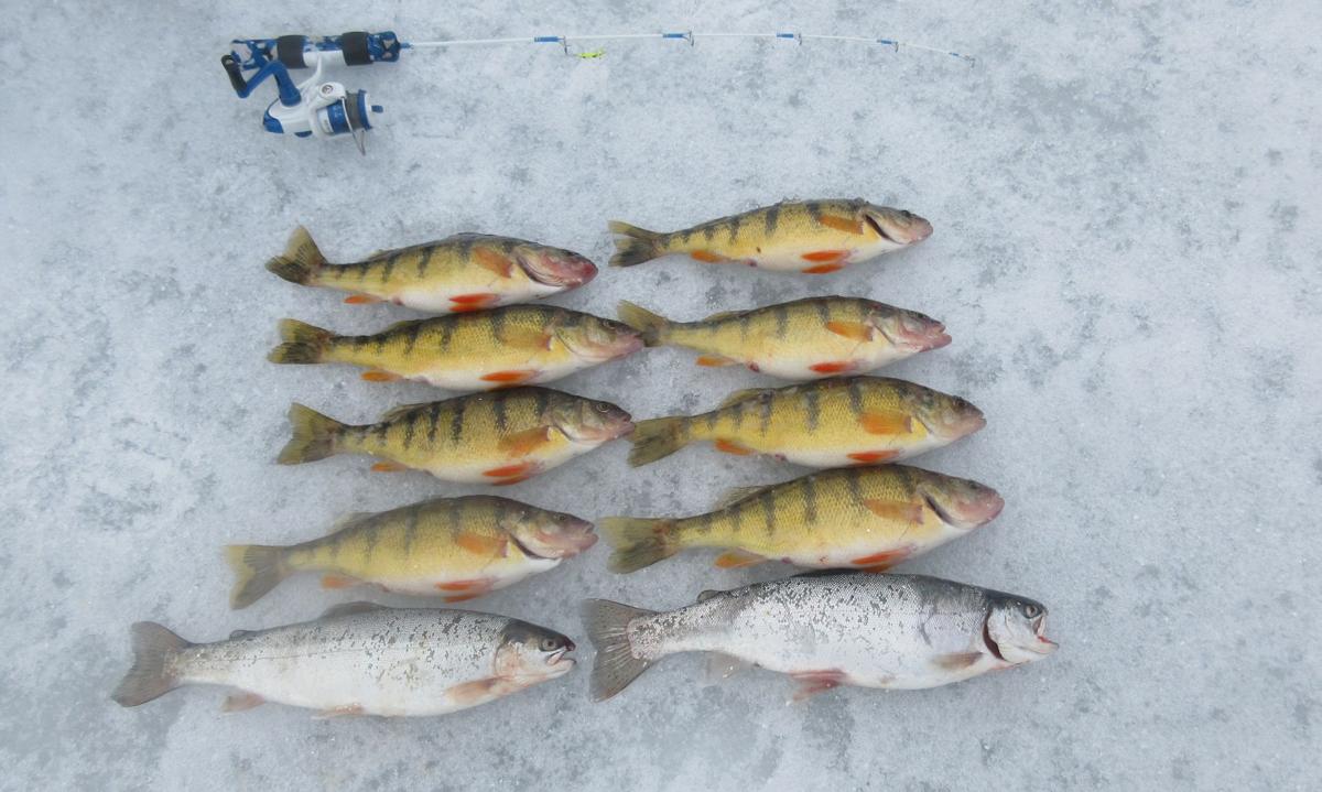 Hot ice fishing at C.J. Strike Cold snap brings a rare treat for