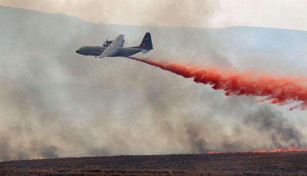 Rabbit Springs Fire
