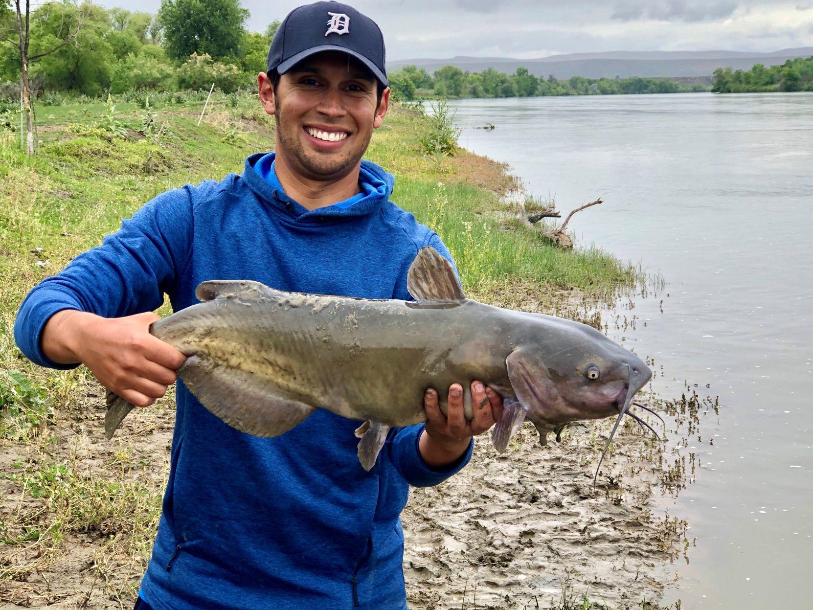Fishing Column Catfish Are Jumping Here S How To Catch One Outdoors Magicvalley Com