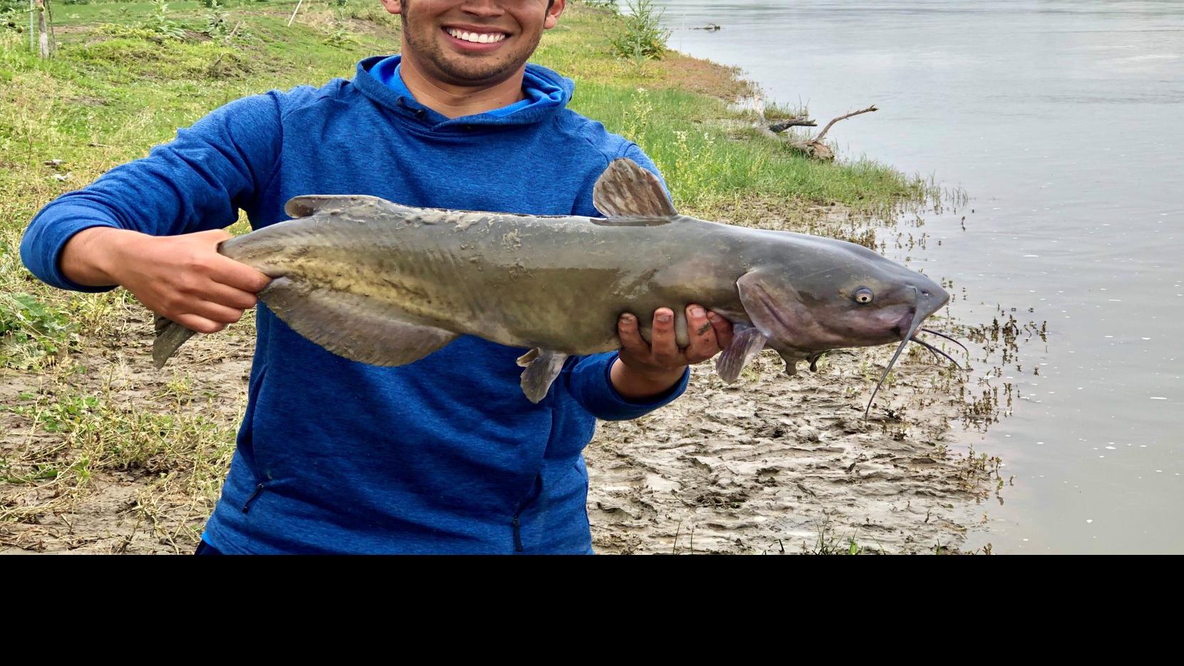 Fishing Column Catfish Are Jumping Here S How To Catch One Outdoors Magicvalley Com