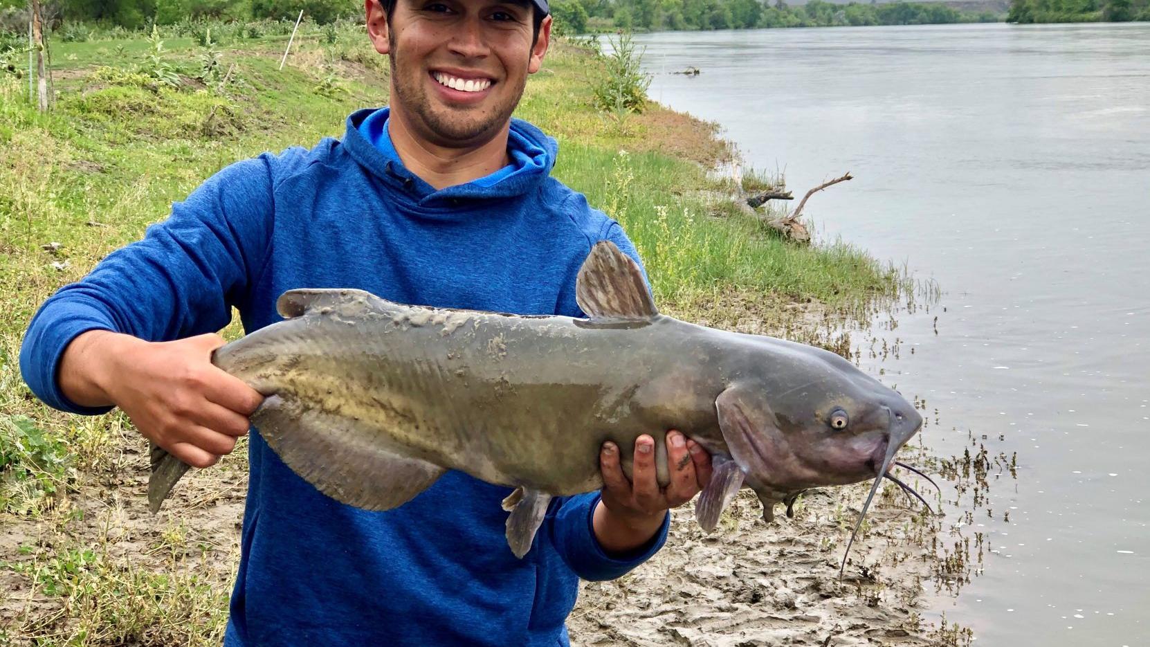 Fishing Column Catfish Are Jumping Here S How To Catch One Outdoors Magicvalley Com Fishing Column Catfish Are Jumping Here S How To Catch One Outdoors Magicvalley Com