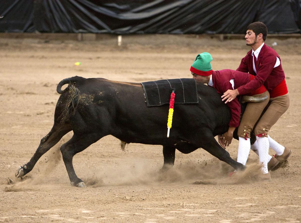 Bloodless Bullfights