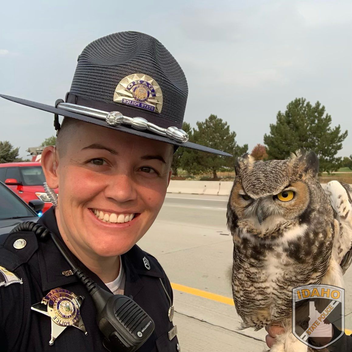 Idaho State Police Trooper, Wildlife Rehabilitator Save Owl Along Busy ...