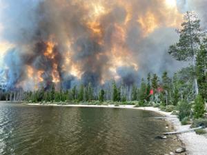 8 Idaho utility projects selected for new wildfire resilience program