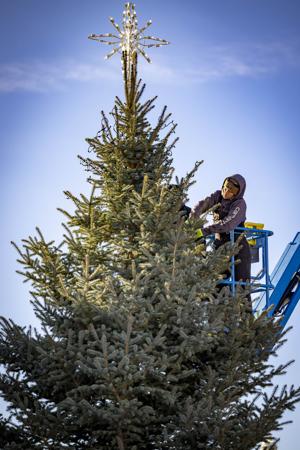 Twin Falls Holiday tree gets a glow-up