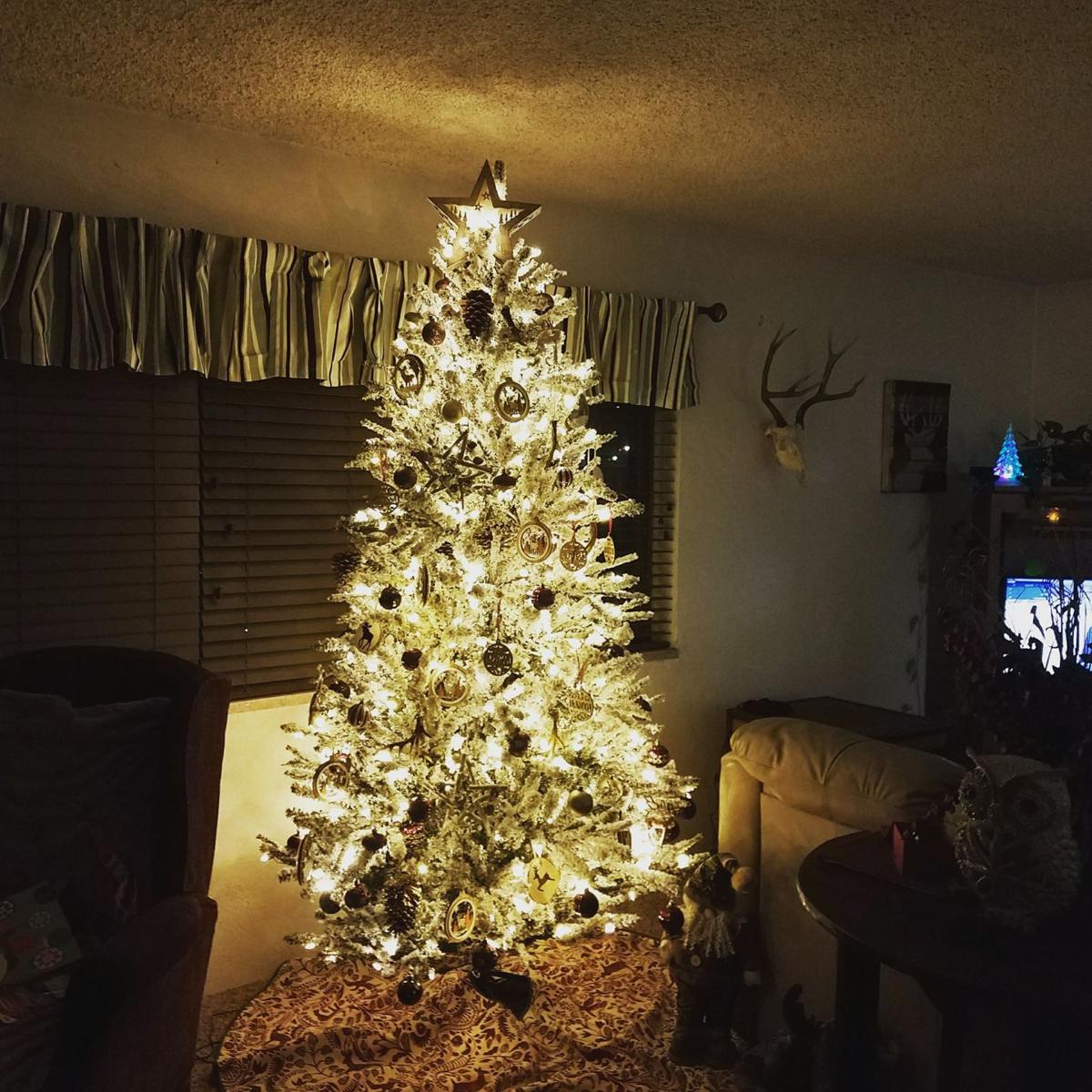 photos let s see your christmas trees southern idaho mole valley christmas tree collection