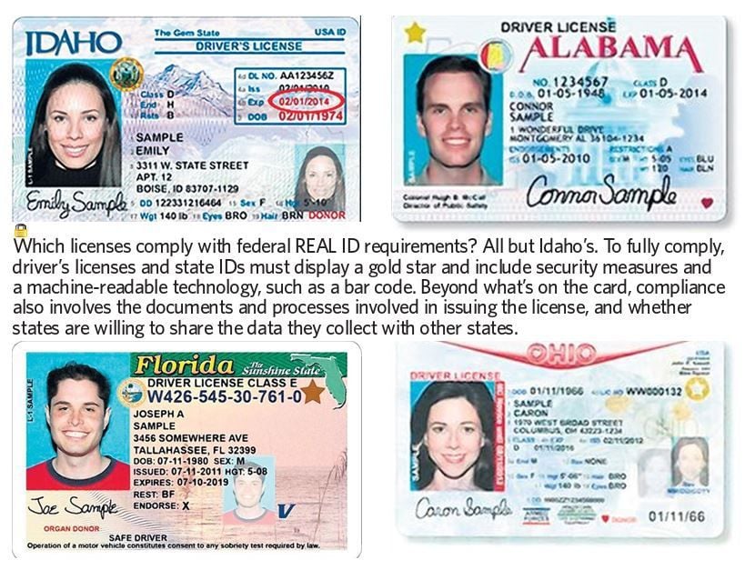 enhanced driver license florida