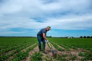 IDWR issues 2025 end-of-season order, finding water shortfall