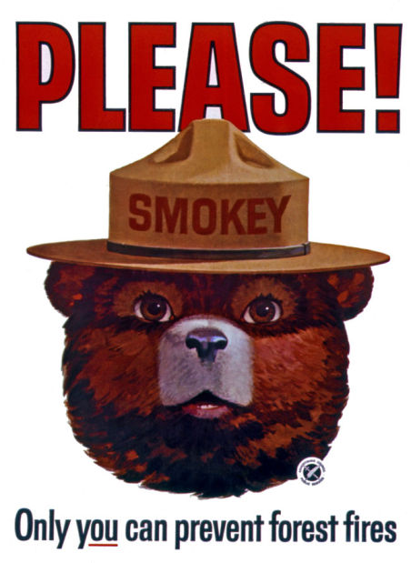 Gallery: Happy Birthday, Smokey Bear! | Outdoors and Recreation ...