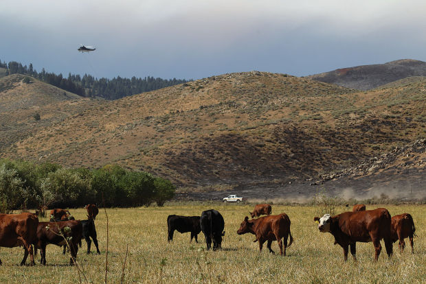 Beaver Creek Complex Fire