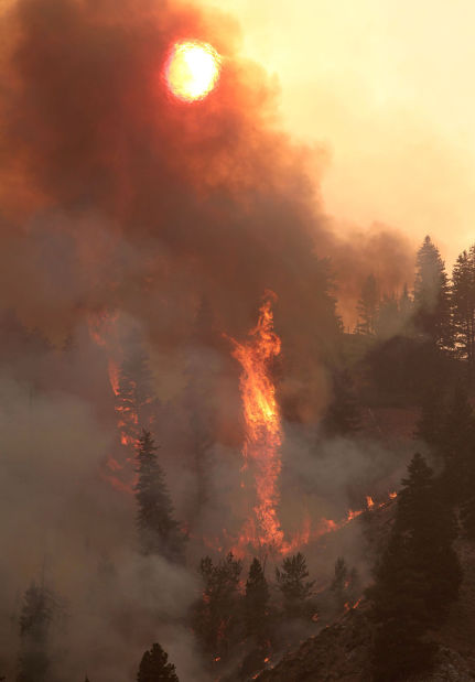 Elk Fire