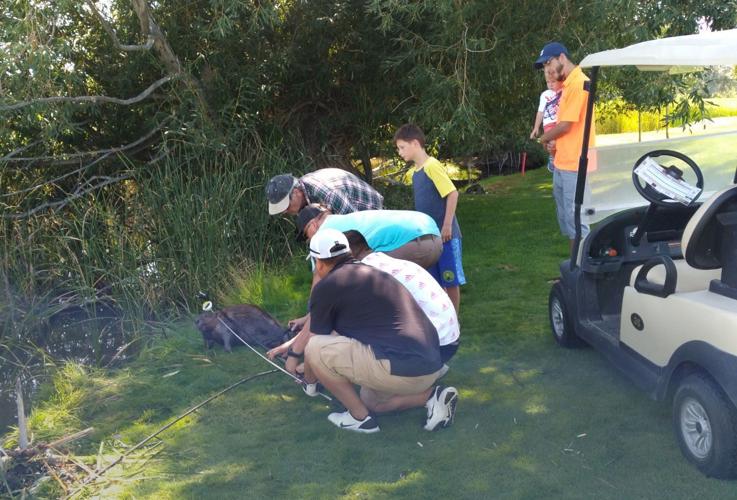 Golfers