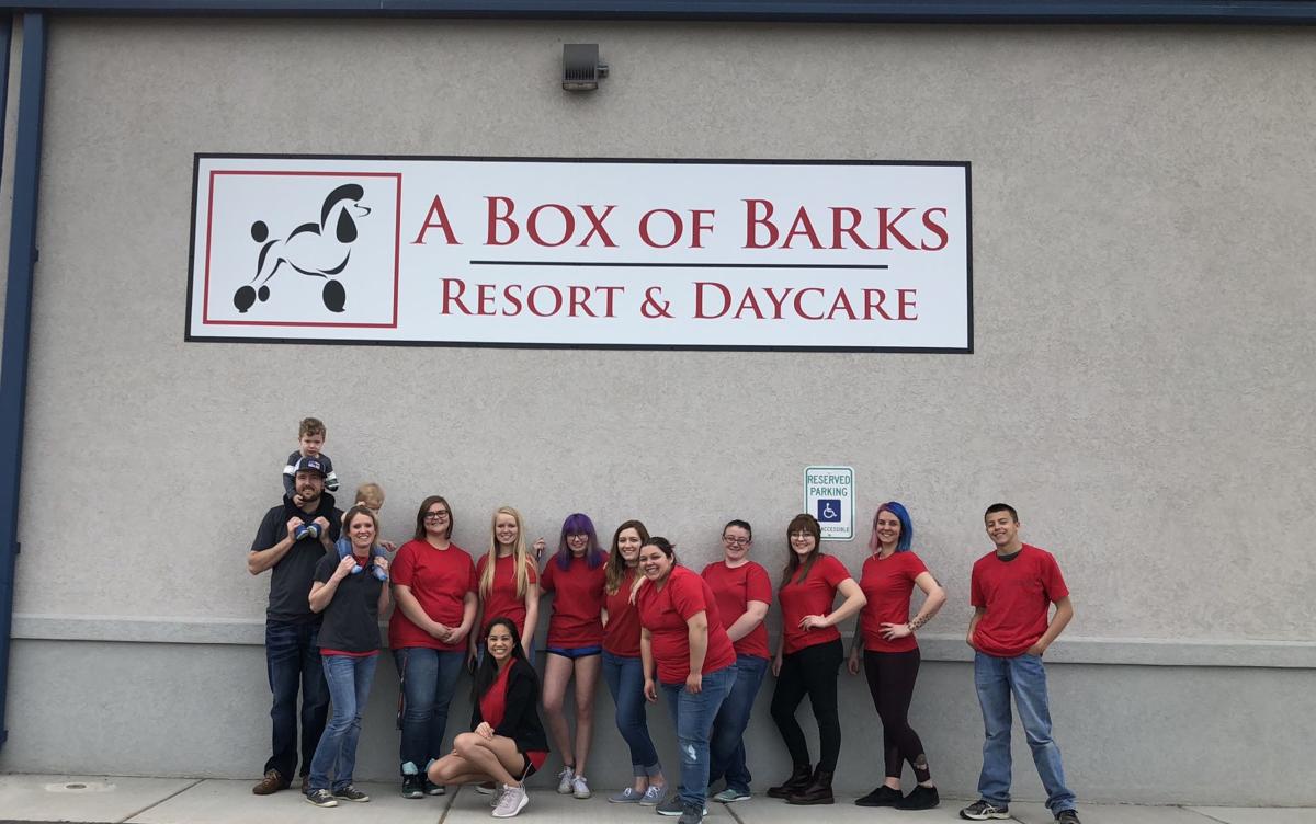 A Box of Barks is open for business