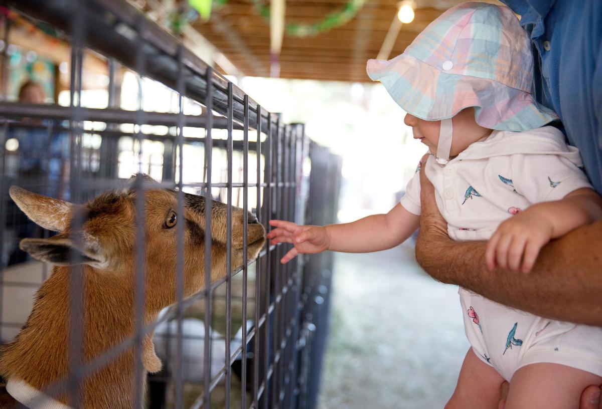 Gallery A Magic Valley summer Southern Idaho Local News