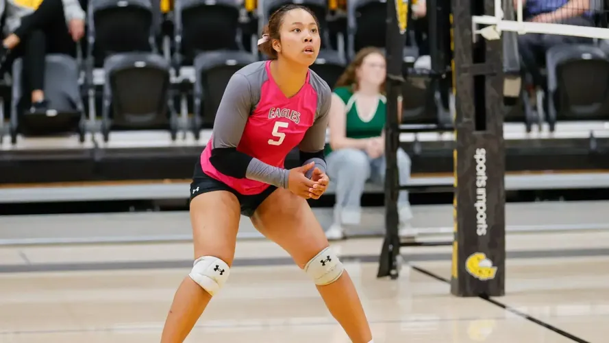 Goto's big offensive weekend garners conference honors