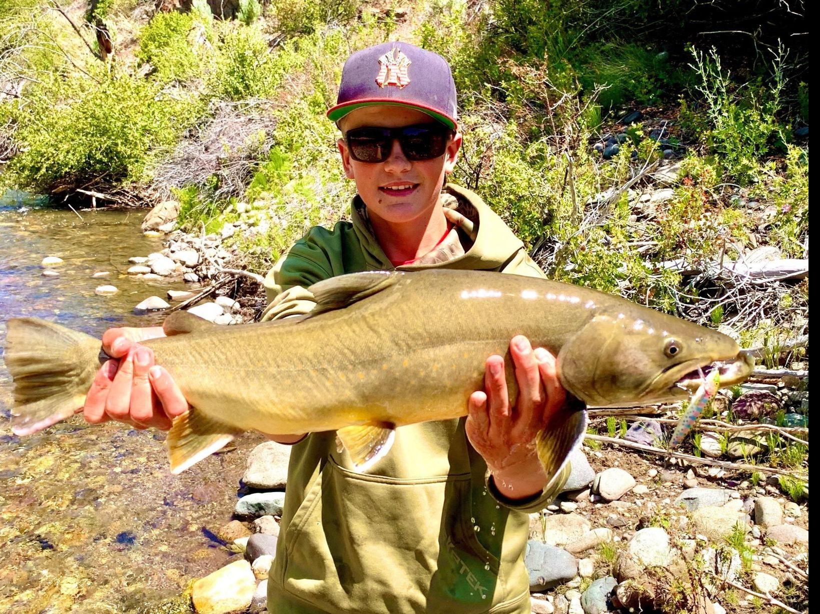 Fishing Column Bull Trout 101 What Anglers Should Know About This Protected Idaho Species Outdoors Magicvalley Com
