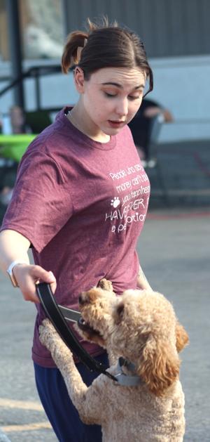 Furry friends: Jerome Animal Shelter holds meet and greet