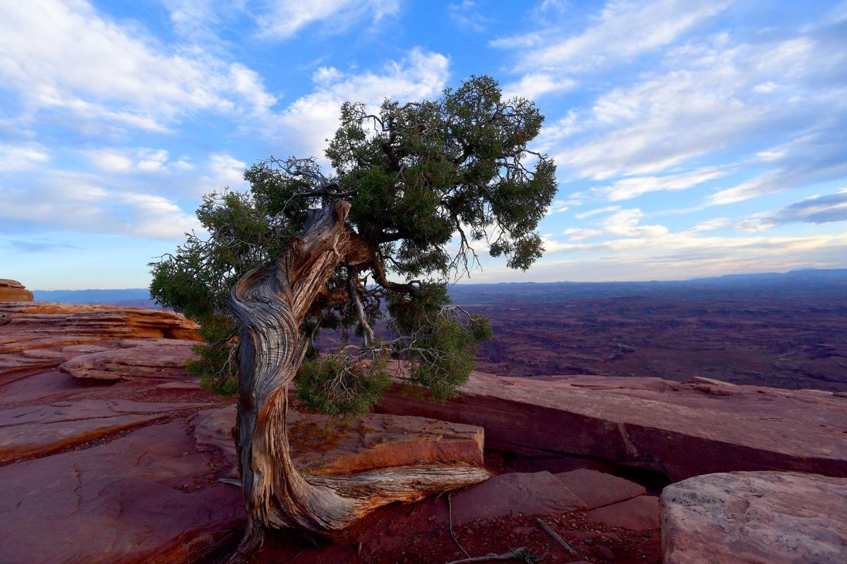 Uranium firm sought Bears Ears cut | News | magicvalley.com