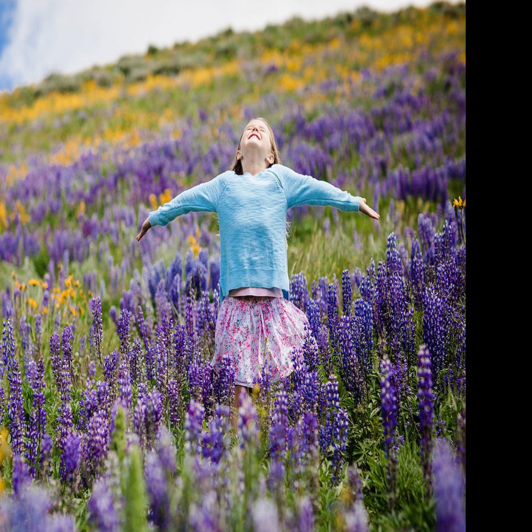 >Best Wildflower Hikes Around Ketchum Outdoors Magicvalley Com