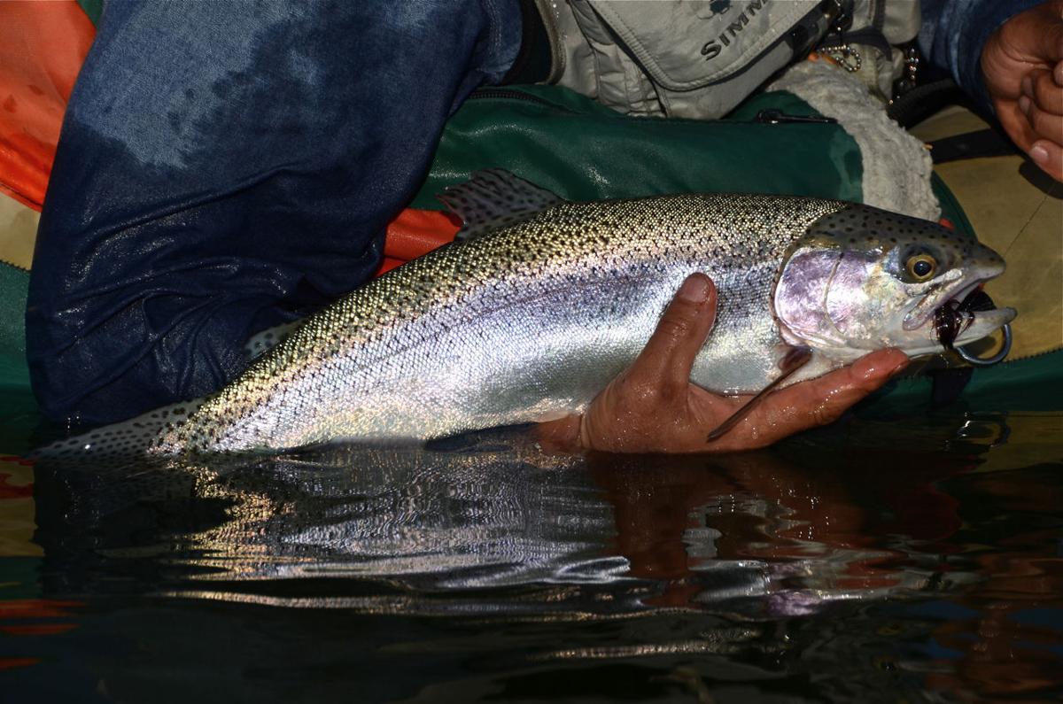 Duck Valley biologist speaks to fly fishers Outdoors and Recreation