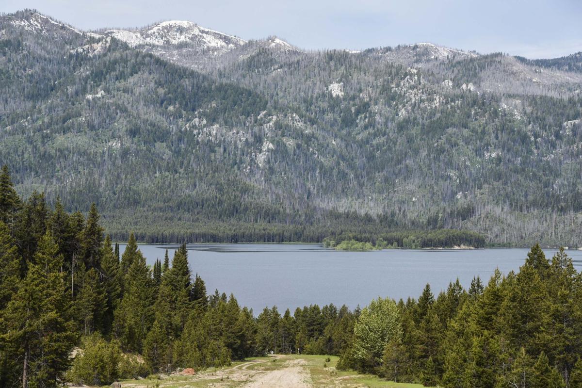 Escape to Idaho's Gem: Shifer Campground, Your Wilderness Oasis Awaits!