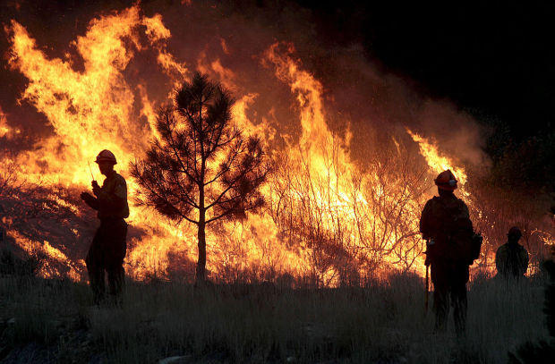 Elk Fire