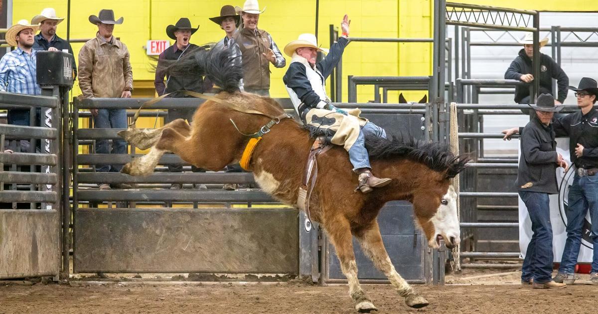 Csi Rodeo Arena Region champs Winters, Gibbs to lead CSI rodeo at CNFR