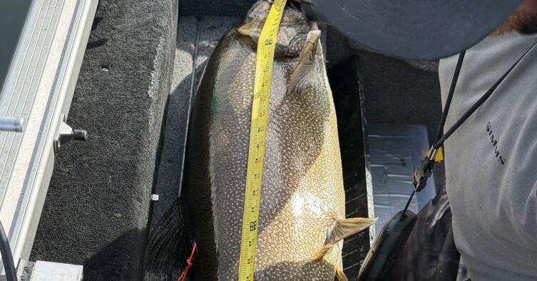Idaho Falls angler lands 43-inch trout and returns to the Idaho record books