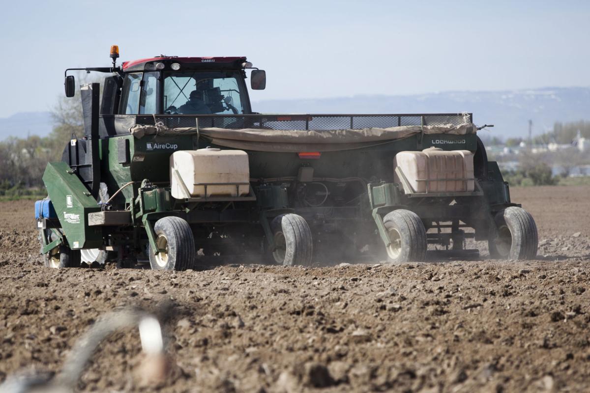 SouthWind Farms Sends Fresh Potatoes Overseas