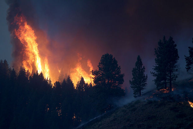 Elk Fire