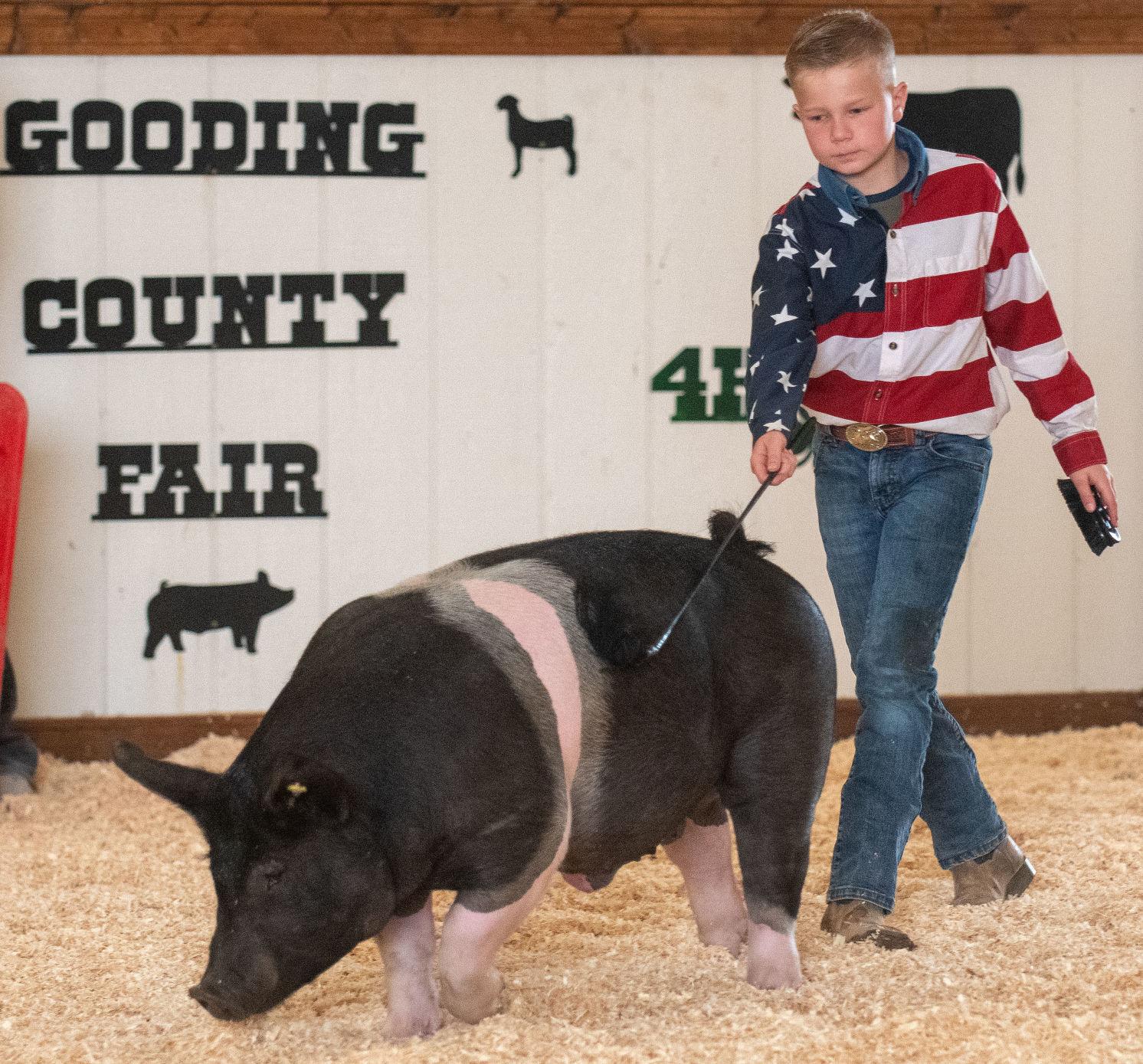 PHOTOS Swine showmanship shines through at Gooding County Fair Local