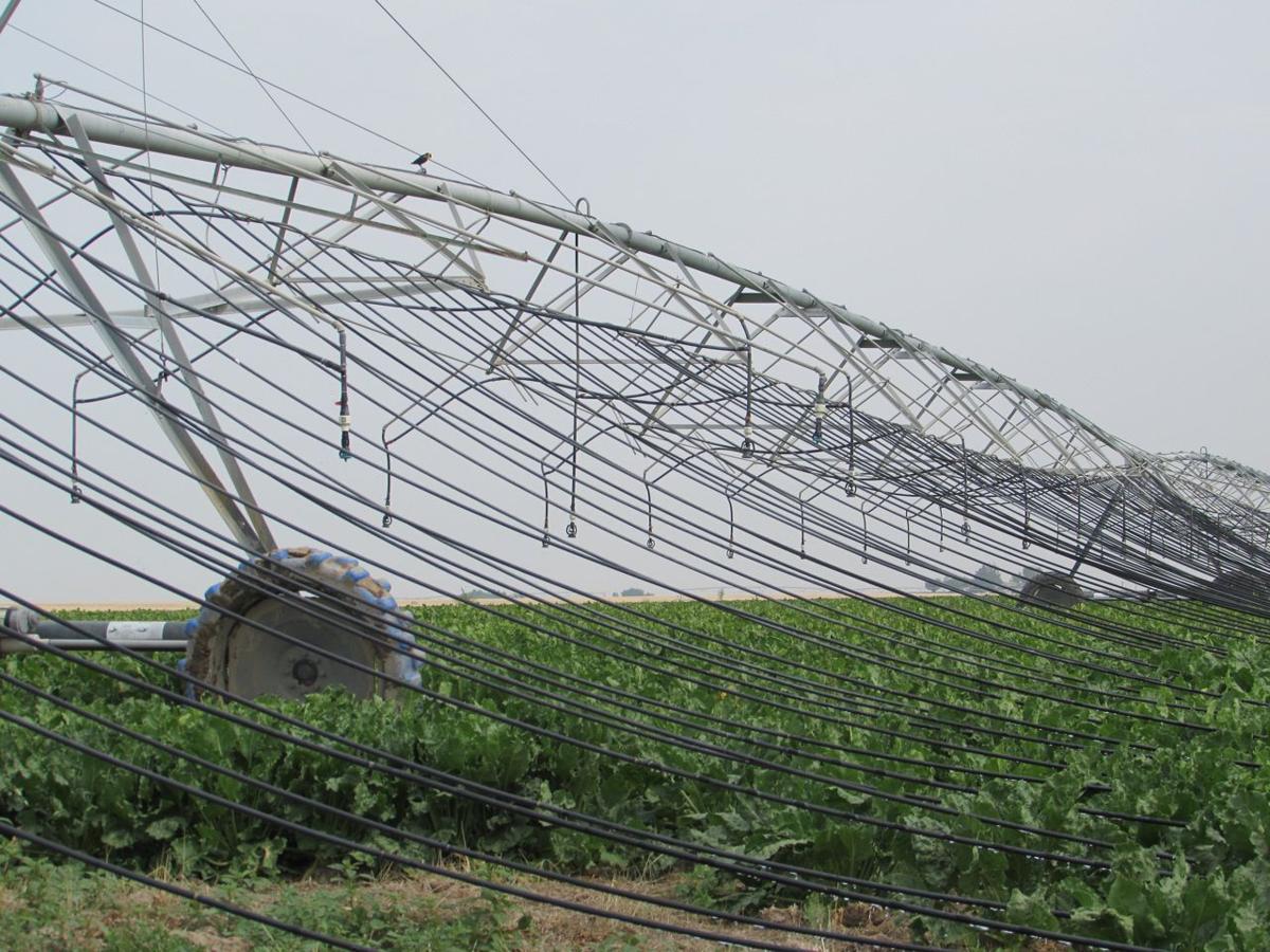 Mobile drip offers promise Southern Idaho Agriculture News