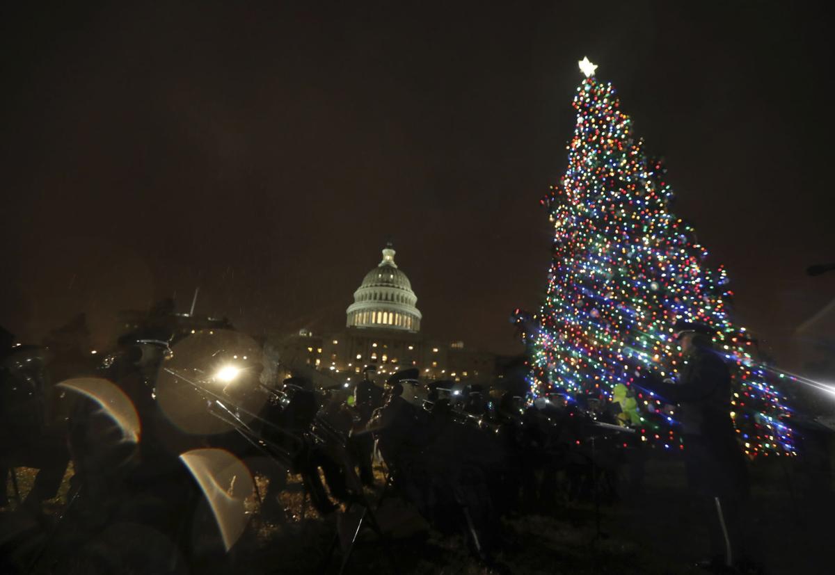 Christmas Tree From Idaho Lights Up Capitol Lawn Southern