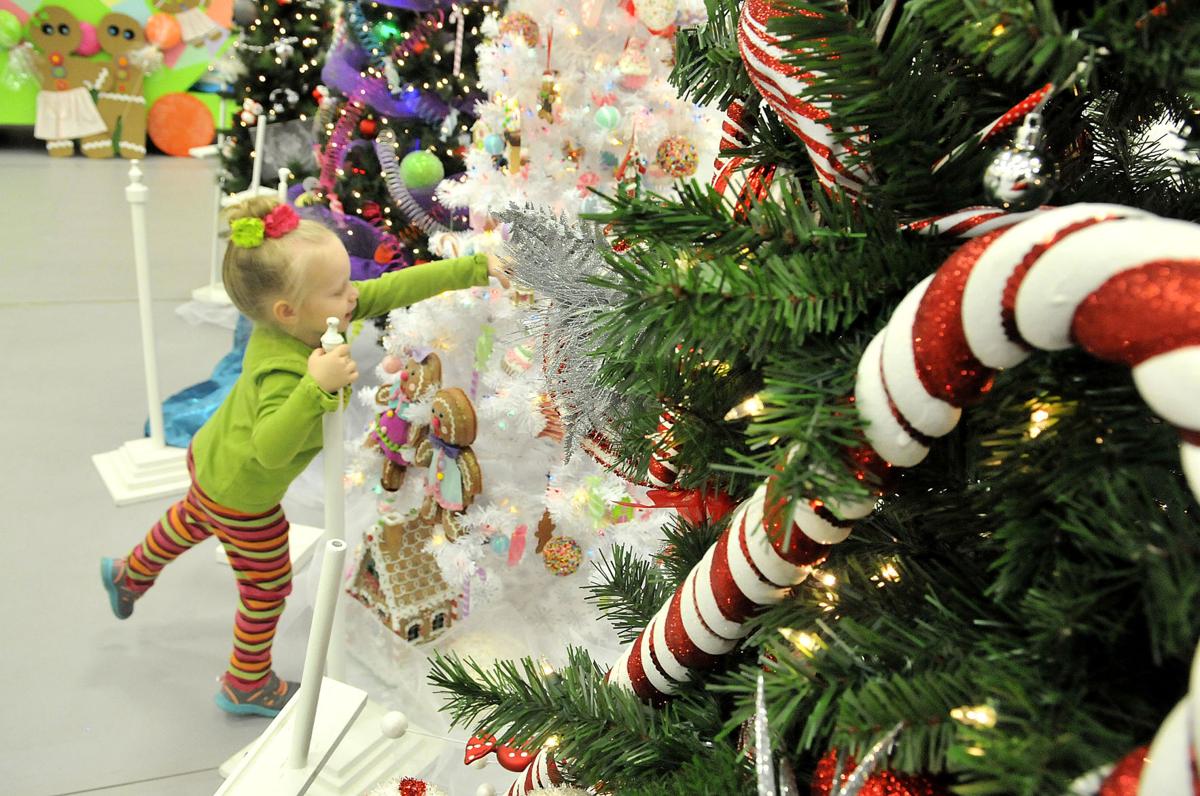 Cassia Festival of Trees