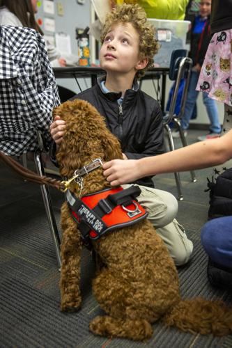 Therapy dogs at White Pine Elementary School