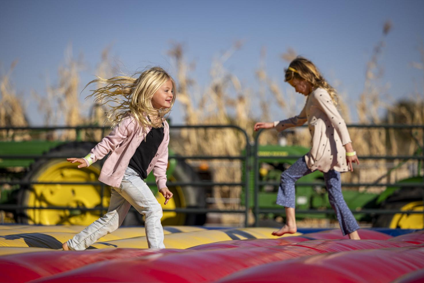 Tubbs Berry Farm is always a blast | Photos
