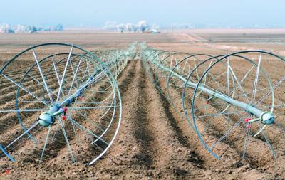 Farm Subsidies Remain a Point of Contention | Local ...