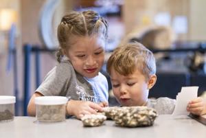 Native plants take root at joint Hagerman event