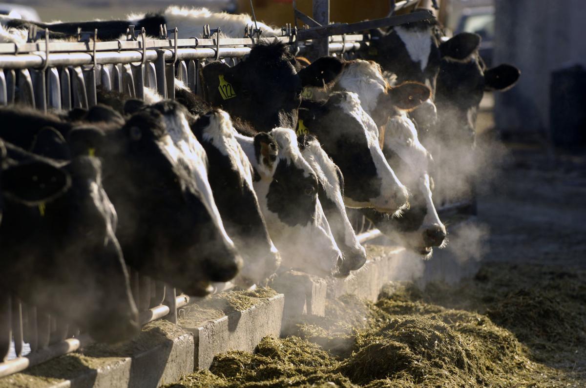 Dairy Spying Lawsuit