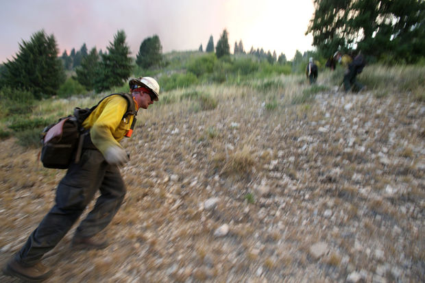 Elk Fire