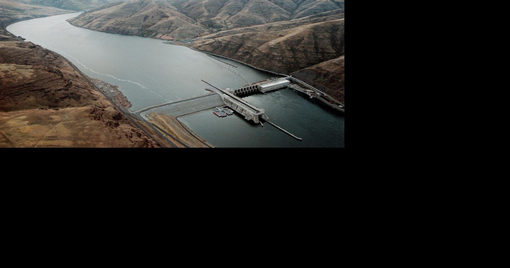 Can federal dam operators save Northwest salmon?
