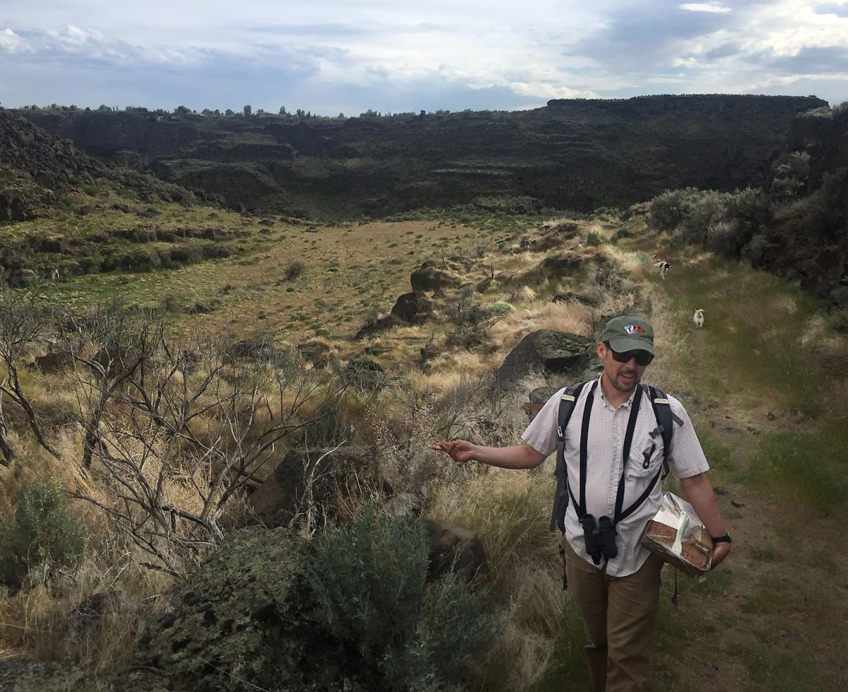 Devil's Corral for the birds