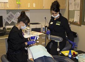 Sealants
